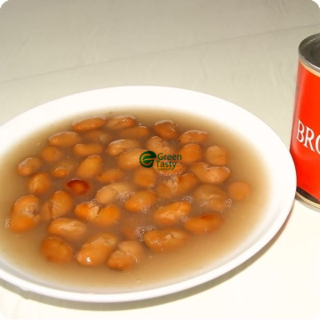 Canned Broad Beans High Quality